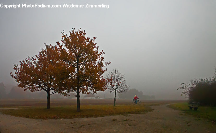 Fog, Park Bench, Dirt Road, Gravel, Road, Landscape, Nature