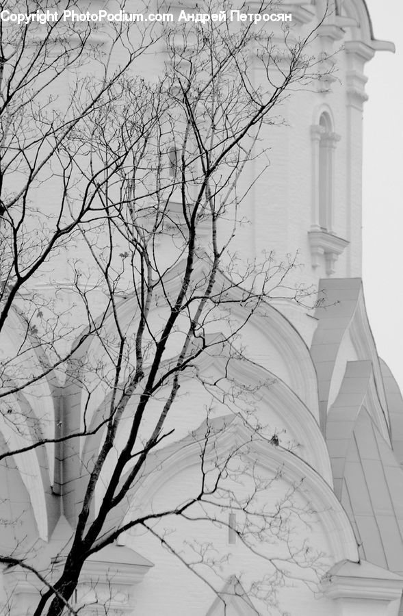 Drawing, Sketch, Plant, Tree, Architecture, Cathedral, Church