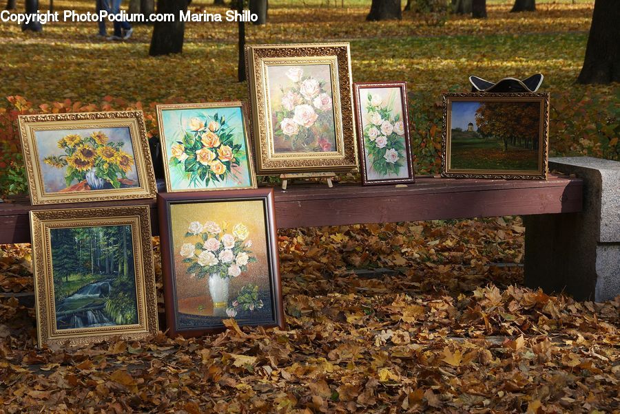 Plant, Potted Plant, Art, Painting, Bench, Carpet, Tapestry