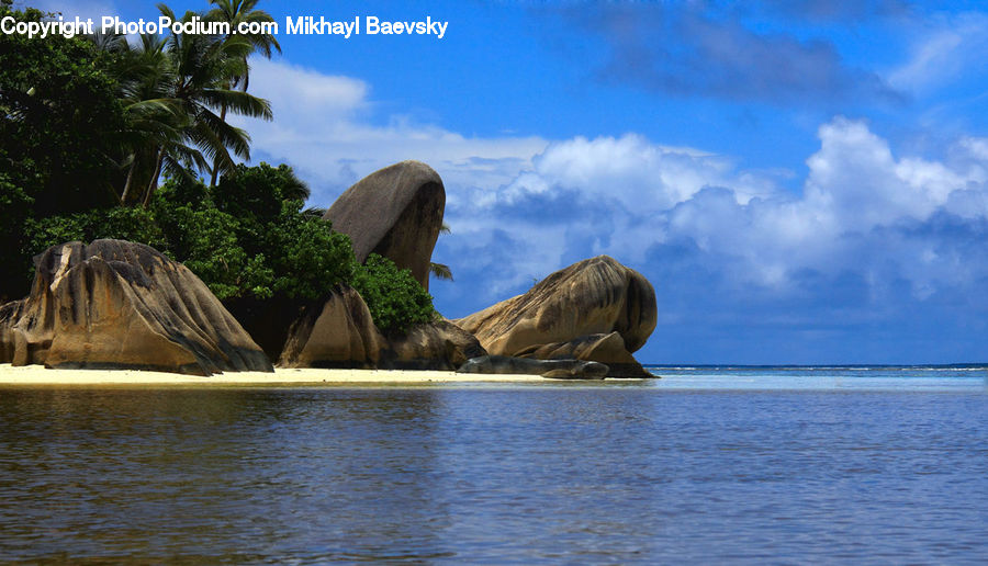 Beach, Coast, Outdoors, Sea, Water, Plant, Potted Plant