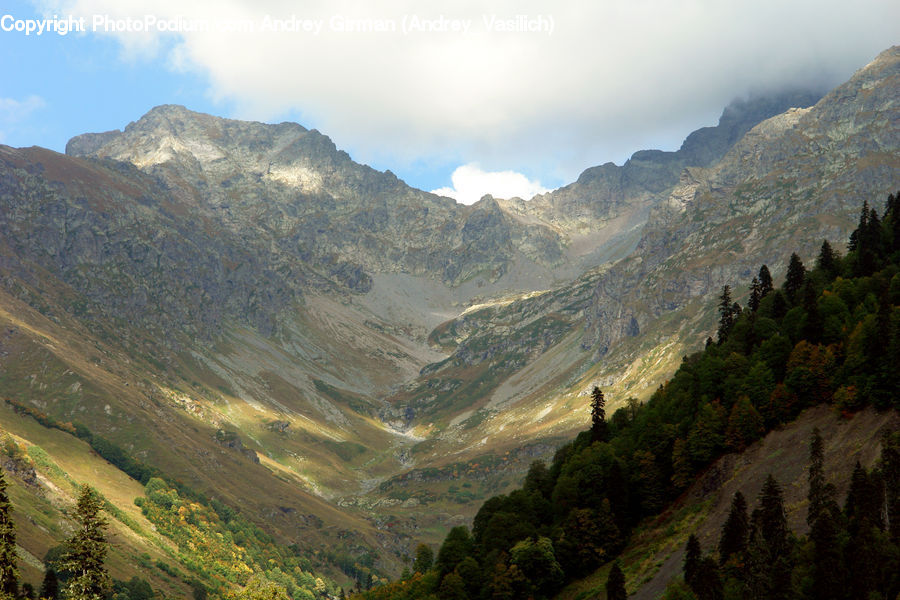 Crest, Mountain, Outdoors, Peak, Plant, Potted Plant, Forest