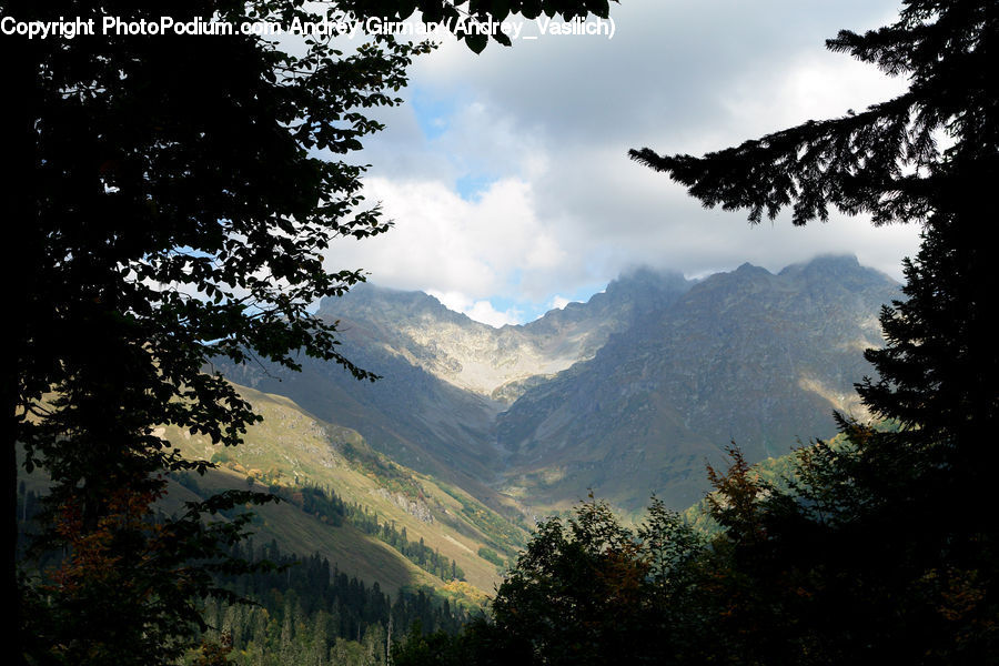 Mountain, Mountain Range, Outdoors, Conifer, Fir, Plant, Tree