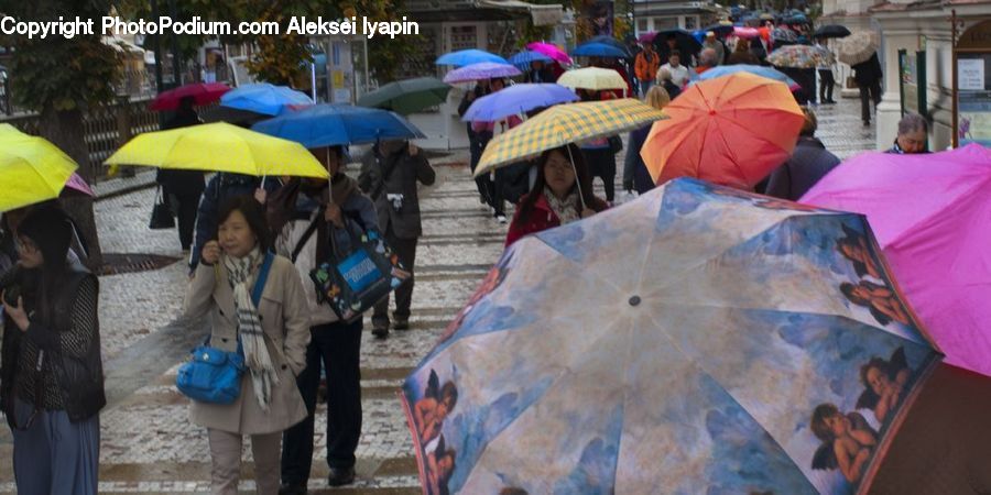 Umbrella, People, Person, Human