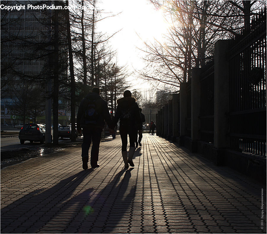 Automobile, Car, Vehicle, Exercise, Fitness, Jogging, Cobblestone