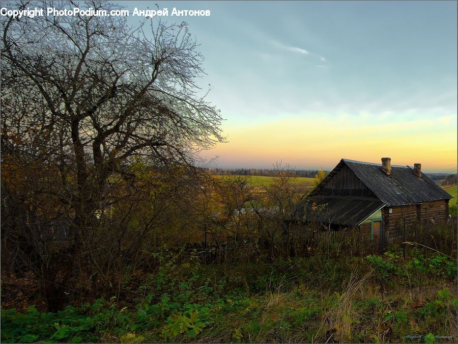 Building, Cottage, Housing, Cabin, Hut, Rural, Shack