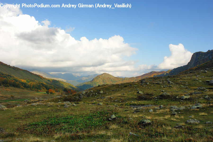 Field, Grass, Grassland, Land, Outdoors, Plateau, Tundra