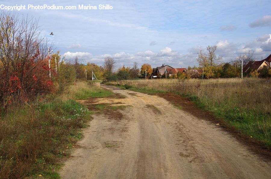 Dirt Road, Gravel, Road