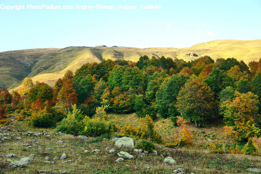 Outdoors, Wilderness, Countryside, Field, Grass, Grassland, Land