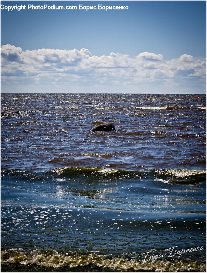 Ocean, Outdoors, Sea, Water, Beach, Coast, Sea Waves