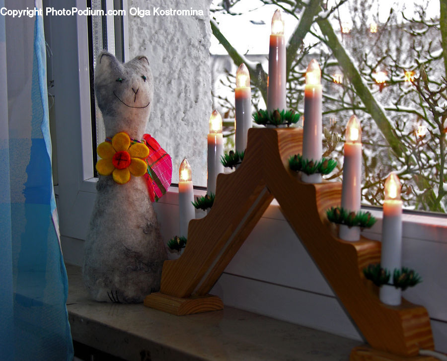 Plant, Potted Plant, Candle, Toy, Flower Arrangement, Ikebana, Vase