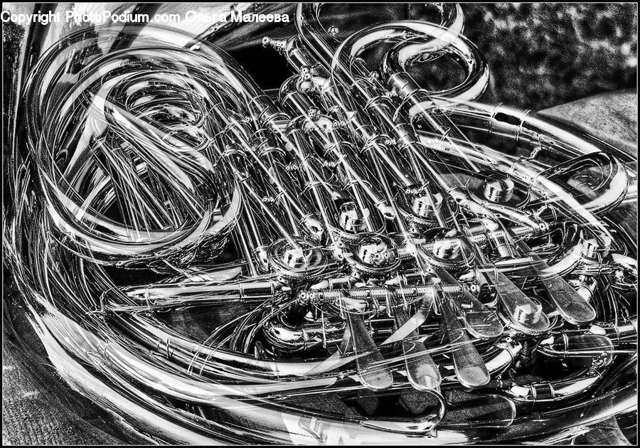 Brass Section, French Horn, Horn, Musical Instrument