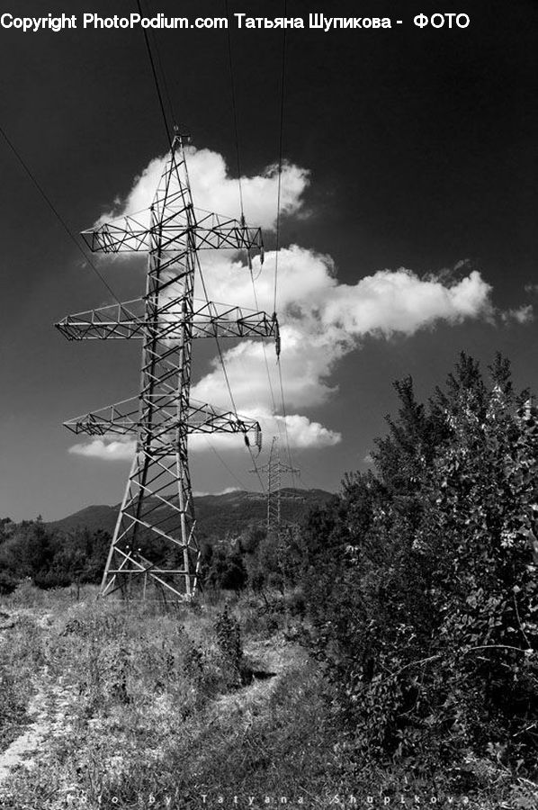 Electric Transmission Tower, Antenna, Bush, Plant, Vegetation, Forest, Outdoors