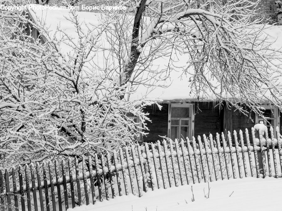 Ice, Outdoors, Snow, Building, Cottage, Housing, Plant