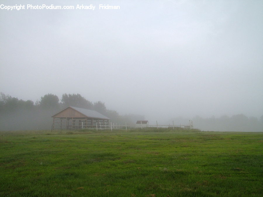 Fog, Field, Grass, Grassland, Land, Outdoors, Mist