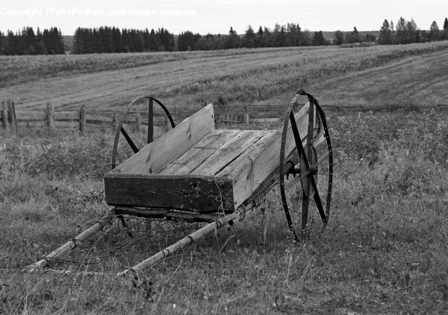 Bench, Countryside, Farm, Field, Grass, Grassland, Outdoors