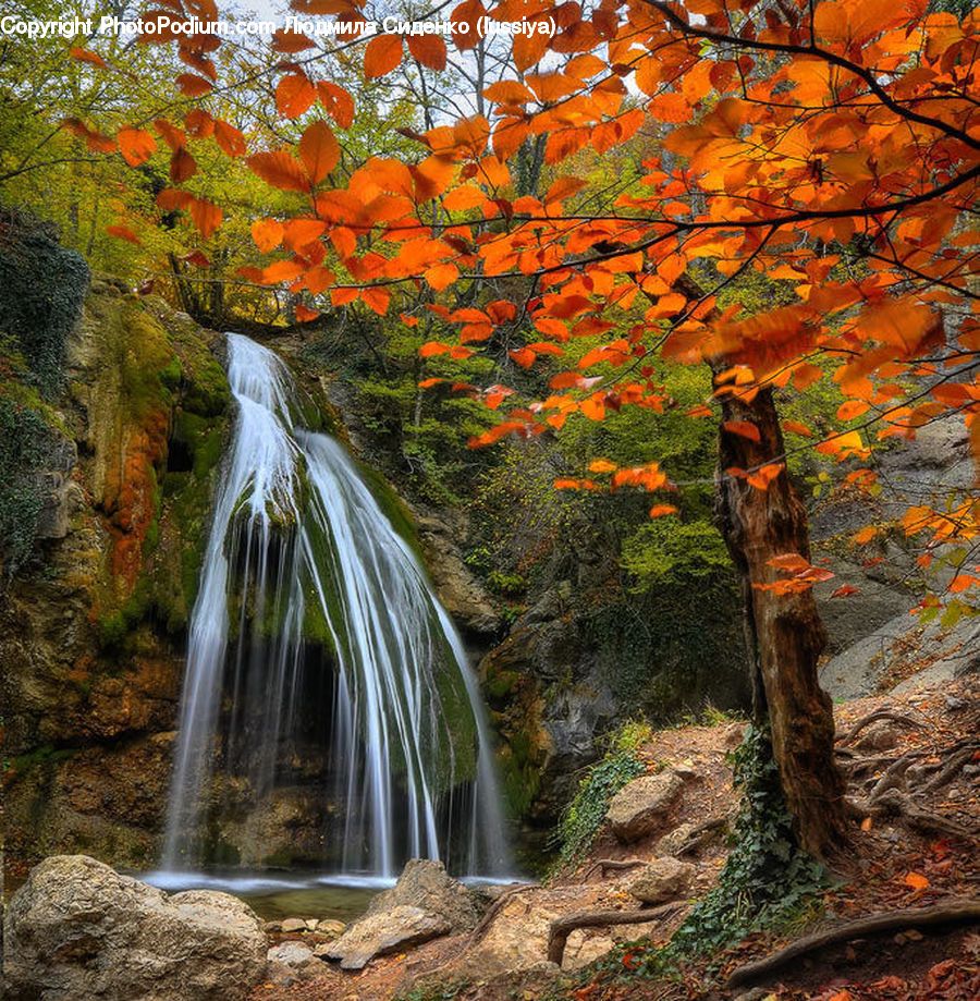 Outdoors, River, Water, Waterfall, Fountain, Creek, Plant