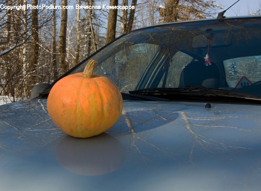 Pumpkin, Squash, Vegetable, Ball, Sphere, Gourd, Produce