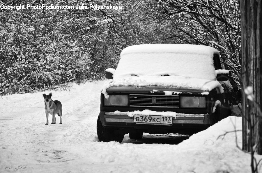 Ice, Outdoors, Snow, Bench, Car, Suv, Vehicle