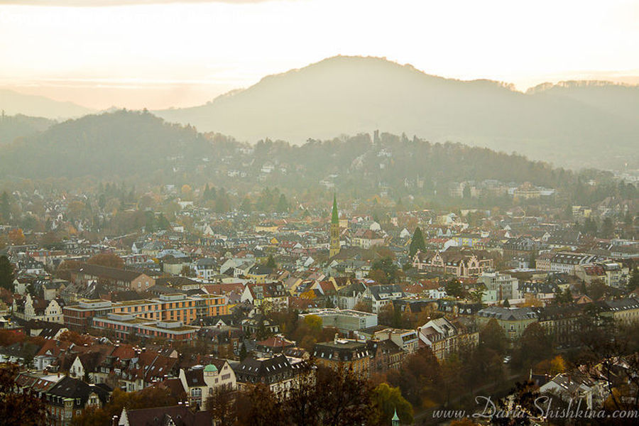 City, Downtown, Metropolis, Urban, Aerial View, Landscape, Nature