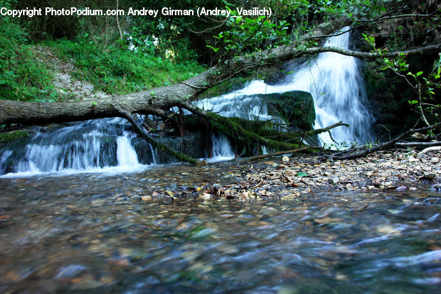 Creek, Outdoors, River, Water, Plant, Potted Plant, Waterfall