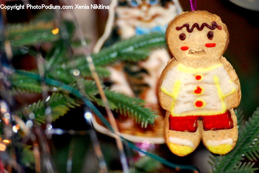 Cookie, Food, Gingerbread, Figurine, Plant, Conifer, Fir