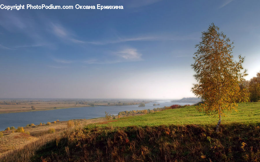 Field, Grass, Grassland, Land, Outdoors, Landscape, Nature