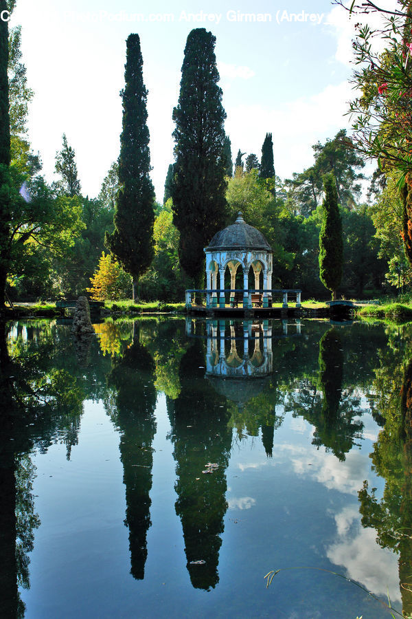 Gazebo, Outdoors, Pond, Water, Conifer, Plant, Tree