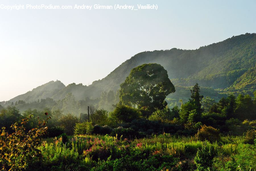 Mountain, Mountain Range, Outdoors, Countryside, Hill, Crest, Peak