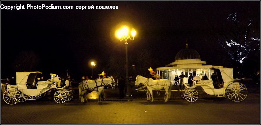 Animal, Horse, Mammal, Carriage, Horse Cart, Vehicle, Antique Car