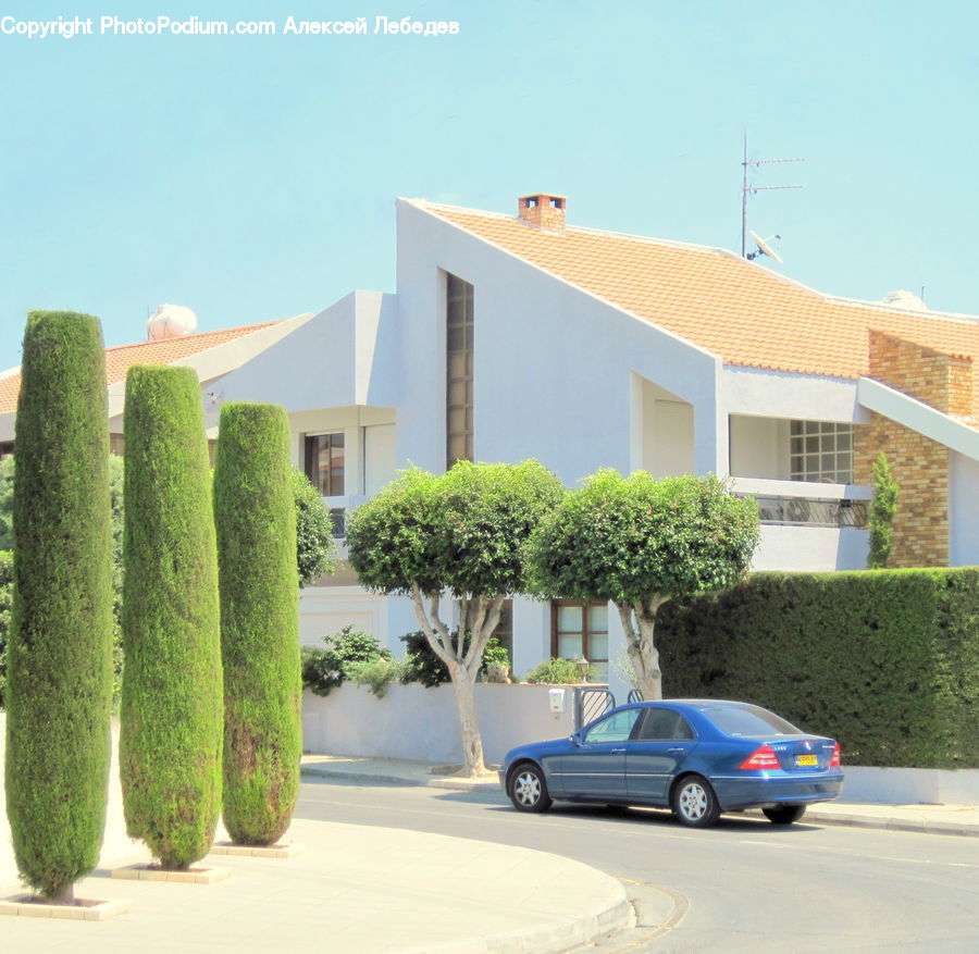 Automobile, Car, Vehicle, Bush, Plant, Vegetation, Building