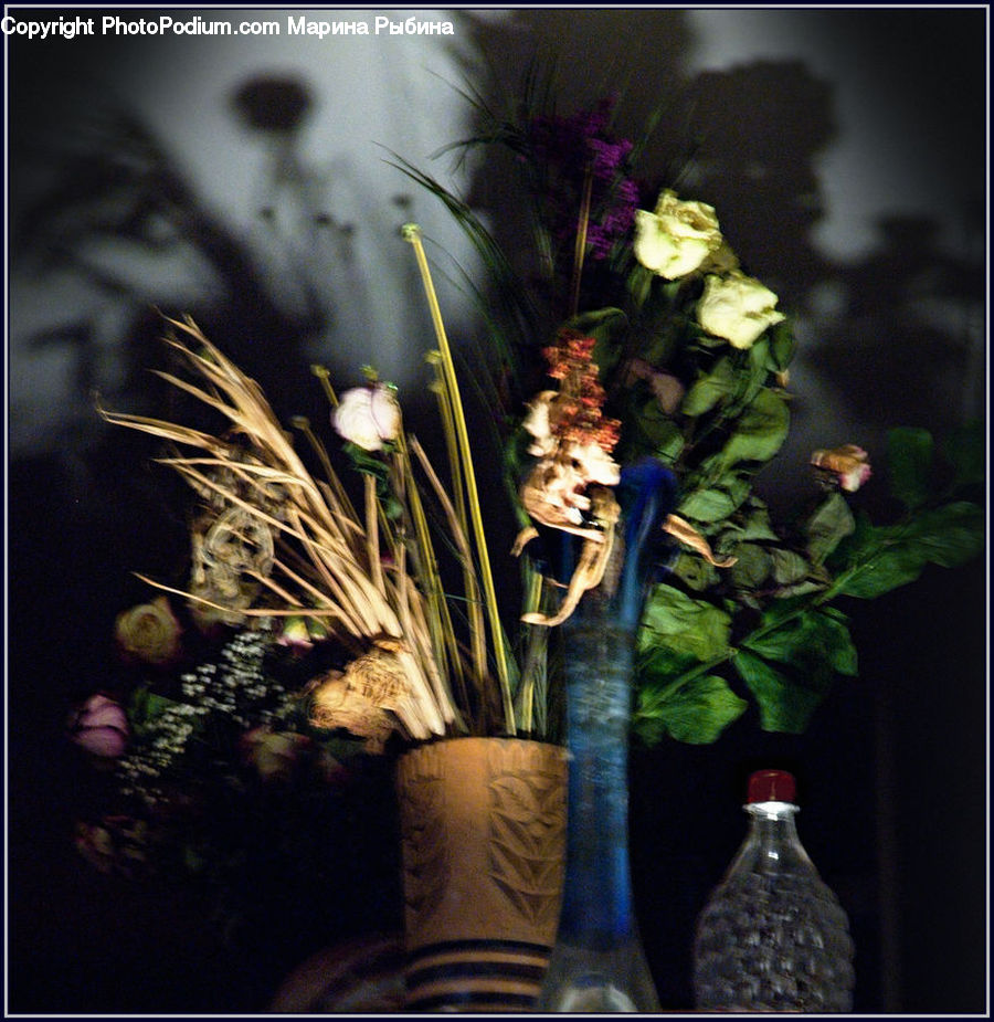 Glass, Goblet, Flower Arrangement, Ikebana, Plant, Potted Plant, Vase