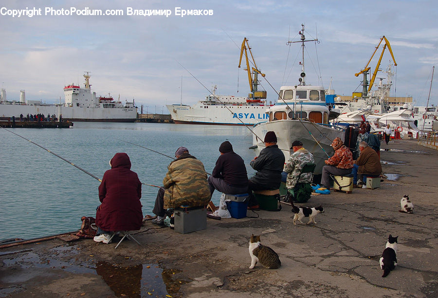 People, Person, Human, Constriction Crane, Fishing, Cruise Ship, Ferry