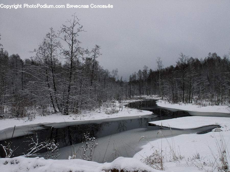 Ice, Outdoors, Snow, Forest, Vegetation, Landscape, Nature