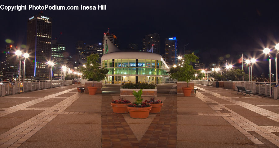 Plant, Potted Plant, Asphalt, Road, Zebra Crossing, Architecture, Convention Center