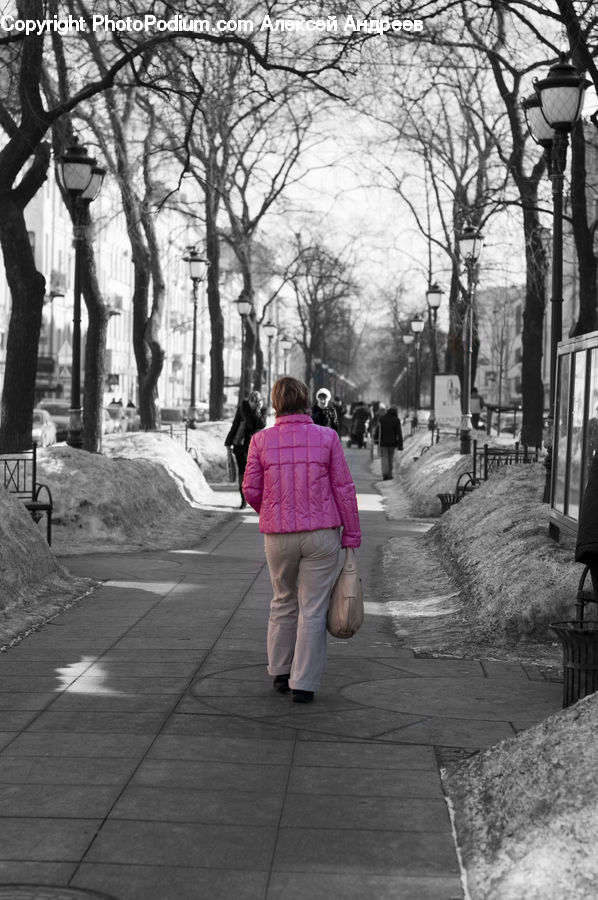 Human, People, Person, Boardwalk, Path, Pavement, Sidewalk