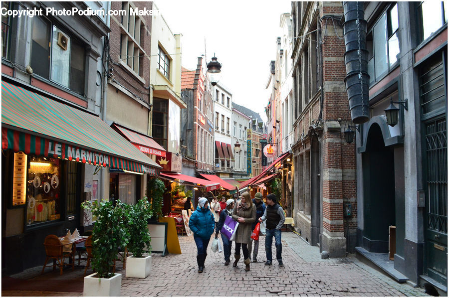 Plant, Potted Plant, Road, Street, Town, Alley, Alleyway