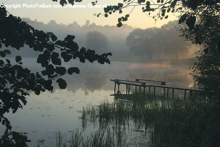 Outdoors, Pond, Water, Plant, Potted Plant, Fog, Mist