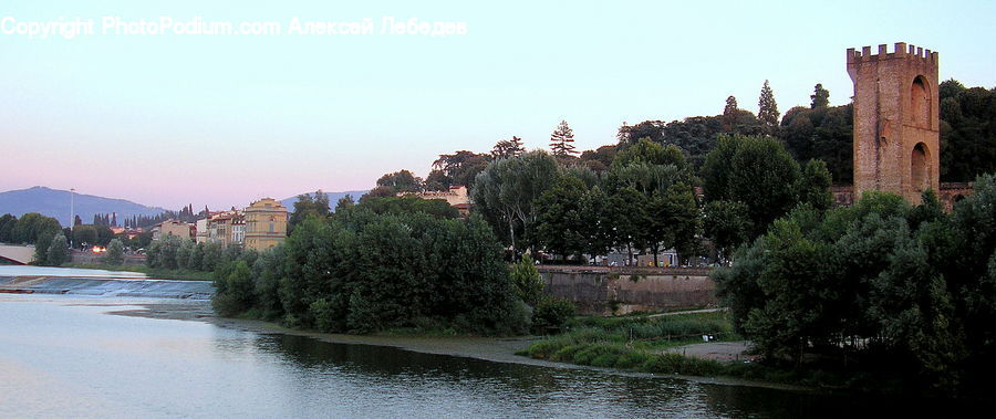 Plant, Potted Plant, Architecture, Castle, Fort, Ditch, Moat