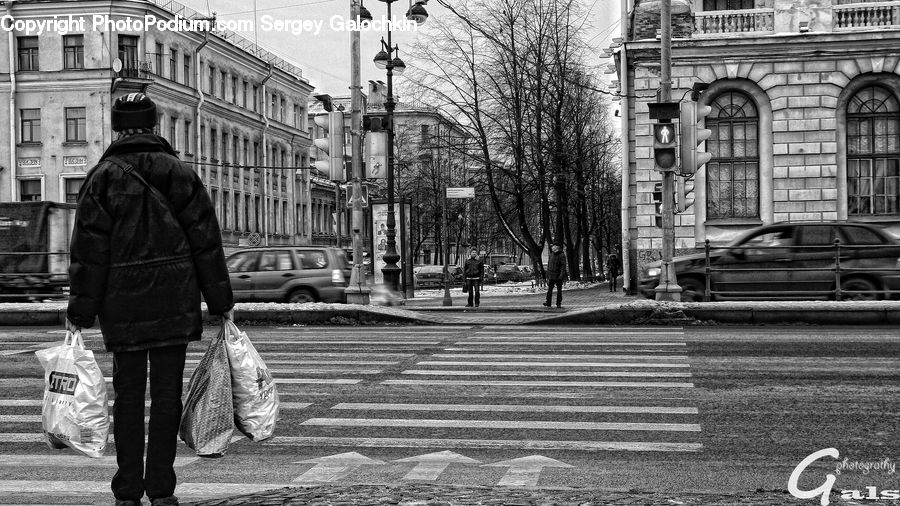 Human, People, Person, Automobile, Car, Vehicle, Asphalt