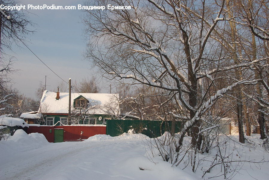 Blizzard, Outdoors, Snow, Weather, Winter, Ice, Landscape