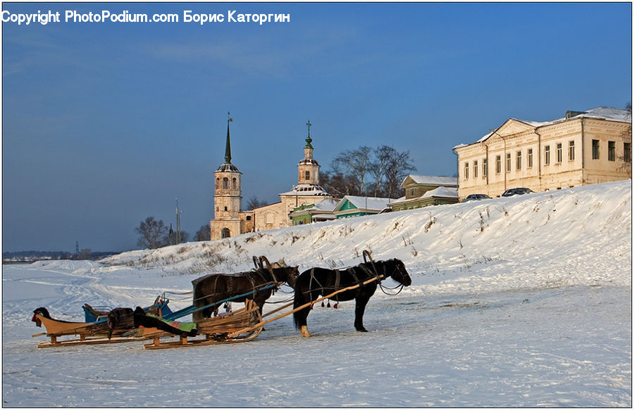 Sled, Animal, Horse, Mammal, Architecture, Cathedral, Church