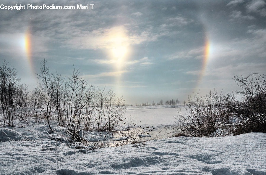 Outdoors, Rainbow, Sky, Flare, Light, Sunlight, Conifer