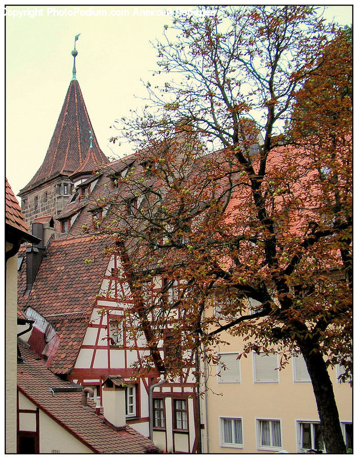 Brick, Plant, Tree, Architecture, Bell Tower, Clock Tower, Tower