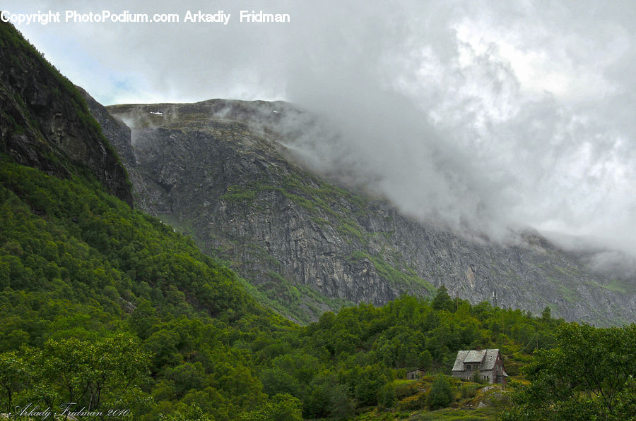 Crest, Mountain, Outdoors, Peak, Conifer, Fir, Plant