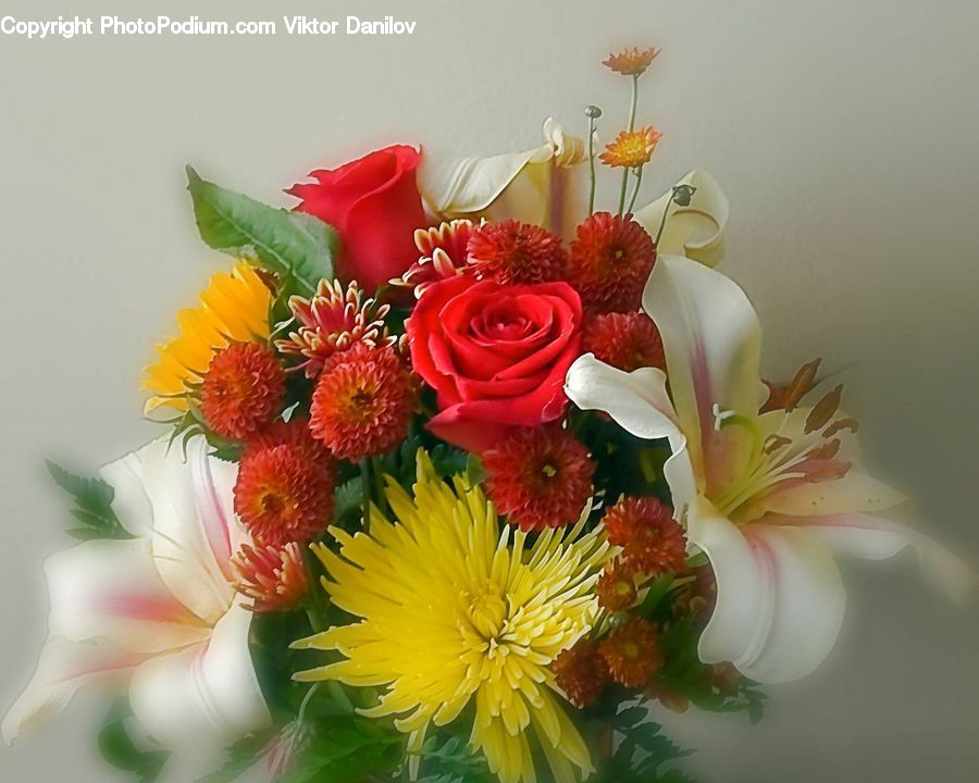 Flower, Flower Arrangement, Flower Bouquet, Plant, Potted Plant, Blossom, Flora