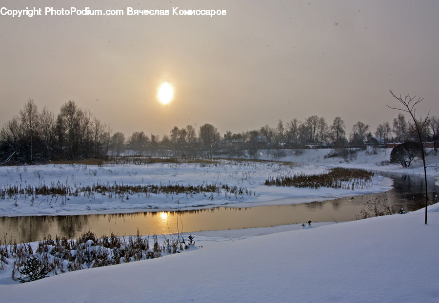 Ice, Outdoors, Snow, Landscape, Nature, Scenery, Conifer