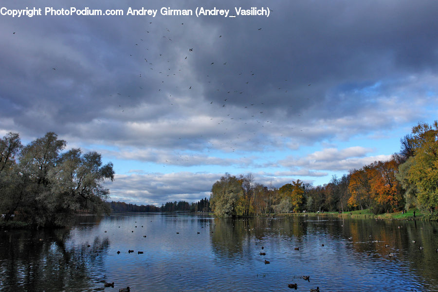 Lake, Outdoors, Water, Field, Grass, Grassland, Plant