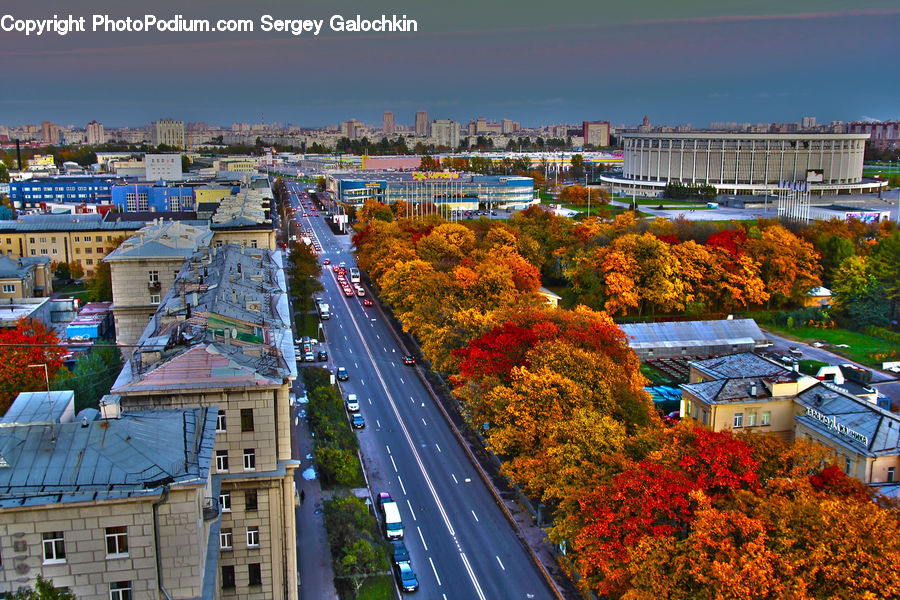 Freeway, Road, Arena, Stadium, Building, Downtown, Town