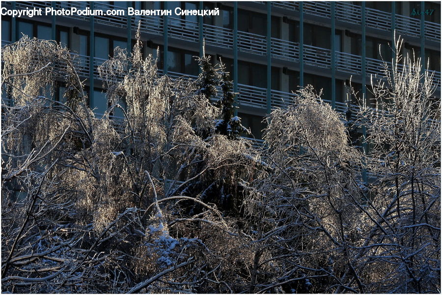 Frost, Ice, Outdoors, Snow, Construction, Scaffolding, Field