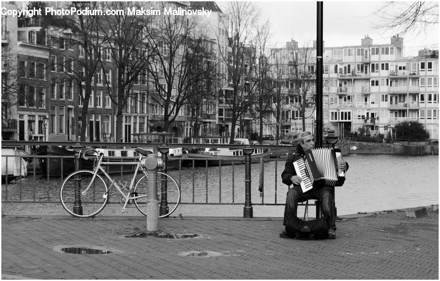 Accordion, Musical Instrument, People, Person, Human, Pump, Bicycle